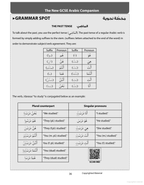 The New GCSE Arabic Companion: GCSE (9-1) - Chawki Nacef