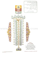 Noorani Qa'idah: Master Reading the Qur'an (Set of 2 Books and 6 Audio CDs) القواعد النورانية
