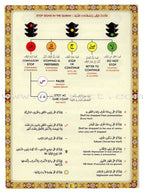 Noorani Qa'idah: Master Reading the Qur'an (Set of 2 Books and 6 Audio CDs) القواعد النورانية