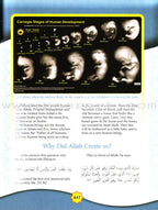 Learning Islam Textbook: Level 1 (6th Grade)