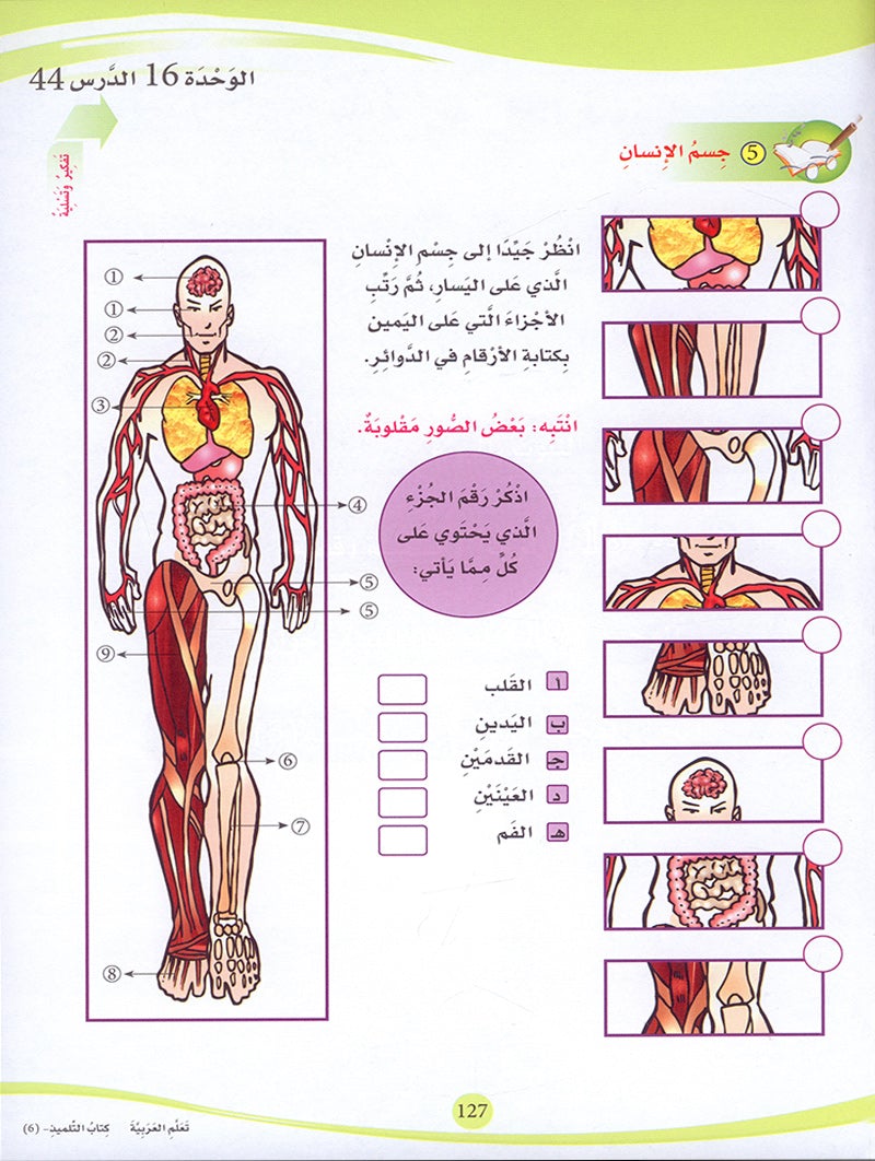 ICO Learn Arabic Textbook: Level 6 (Combined Edition, with Access Code) تعلم العربية  - مدمج