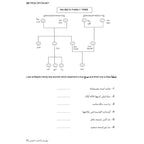Carnival Workbook 2