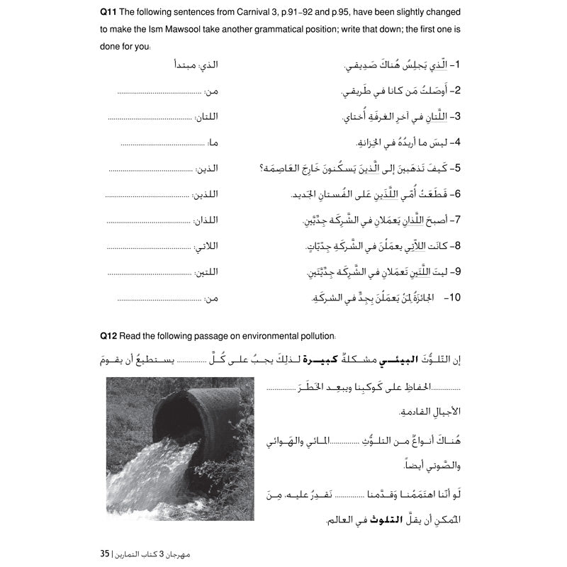 Carnival Workbook 3